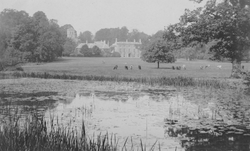 Tackley Park