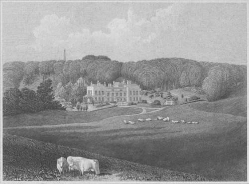 Muntham Court - 19th century print